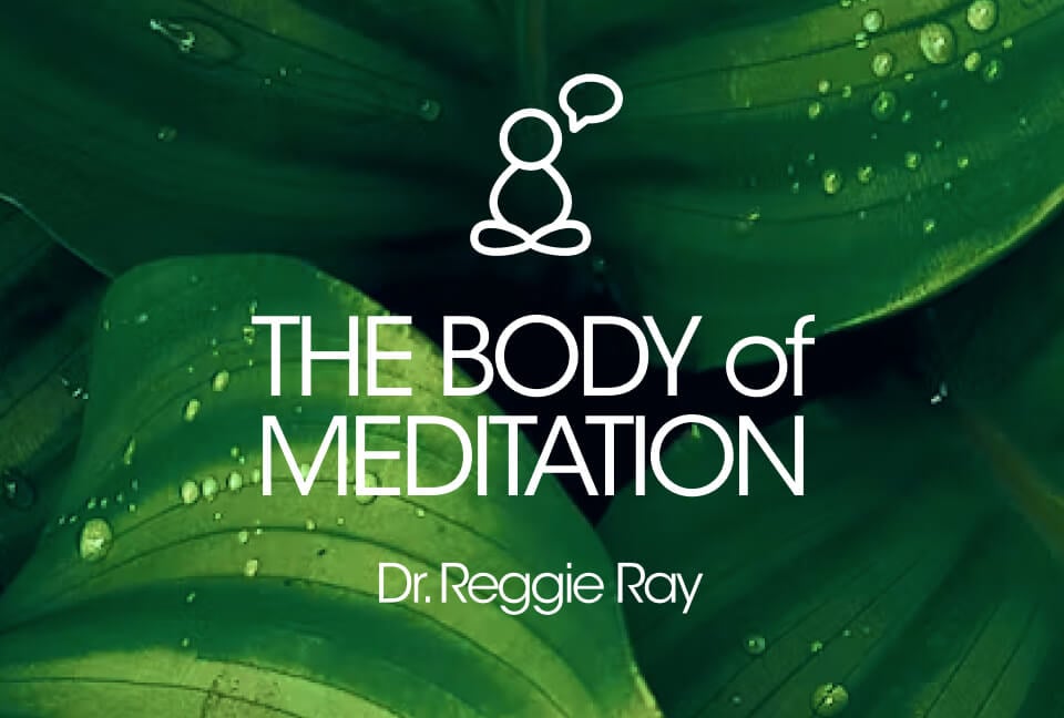 Body of Meditation by Reggie Ray